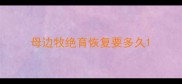 母边牧绝育恢复要多久