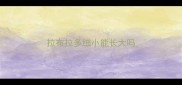 拉布拉多细小能长大吗