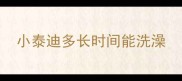小泰迪多长时间能洗澡