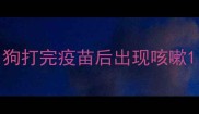 狗打完疫苗后出现咳嗽