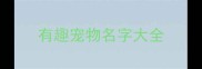 有趣宠物名字大全