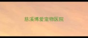 慈溪博爱宠物医院