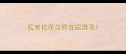 拉布拉多怎样在家洗澡