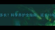 拉布拉多母犬寿命有多长科学养护全指南延长10年健康生命的5个关键
