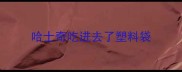 哈士奇吃进去了塑料袋