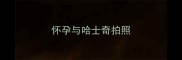 怀孕与哈士奇拍照