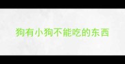 狗有小狗不能吃的东西