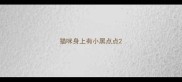 猫咪身上有小黑点点