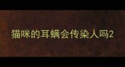 猫咪的耳螨会传染人吗
