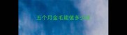 五个月金毛能值多少钱