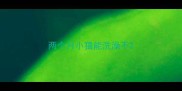 两个月小猫能洗澡不