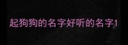 起狗狗的名字好听的名字