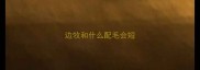 边牧和什么配毛会短