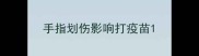 手指划伤影响打疫苗