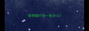 宠物猫价格一般多少