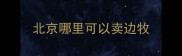北京哪里可以卖边牧