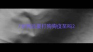 7岁狗还要打狗狗疫苗吗