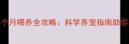 阿拉斯加幼犬4个月喂养全攻略科学养宠指南助你养出健康巨犬