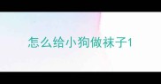 怎么给小狗做袜子