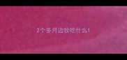 2个多月边牧吃什么
