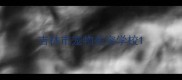 吉林市宠物美容学校