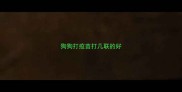 狗狗打疫苗打几联的好