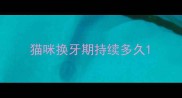 猫咪换牙期持续多久