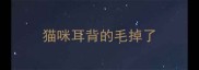 猫咪耳背的毛掉了