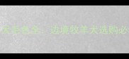 边牧幼犬毛色全边境牧羊犬选购必看指南