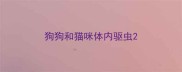 狗狗和猫咪体内驱虫