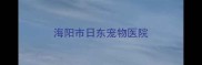 海阳市日东宠物医院