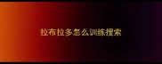拉布拉多怎么训练搜索