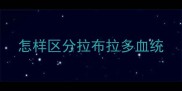 怎样区分拉布拉多血统