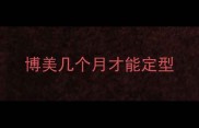 博美几个月才能定型