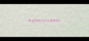 泰迪狗狗为什么要断尾