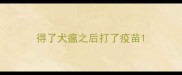 得了犬瘟之后打了疫苗
