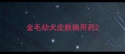 金毛幼犬皮肤病用药