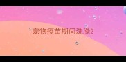 宠物疫苗期间洗澡