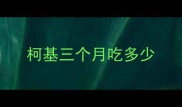 柯基三个月吃多少