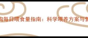 6月龄小狗每日喂食量指南科学喂养方案与营养配比