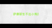 萨摩耶生不出小狗