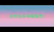 拉布拉多母嘴唇溃