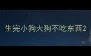生完小狗大狗不吃东西