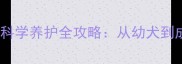 雪纳瑞3个月造型与科学养护全攻略从幼犬到成犬的完美蜕变指南