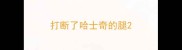 打断了哈士奇的腿