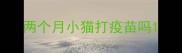 两个月小猫打疫苗吗