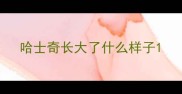 哈士奇长大了什么样子