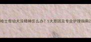 哈士奇幼犬没精神怎么办5大原因及专业护理指南