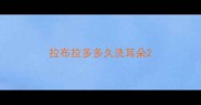 拉布拉多多久洗耳朵