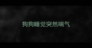 狗狗睡觉突然喘气